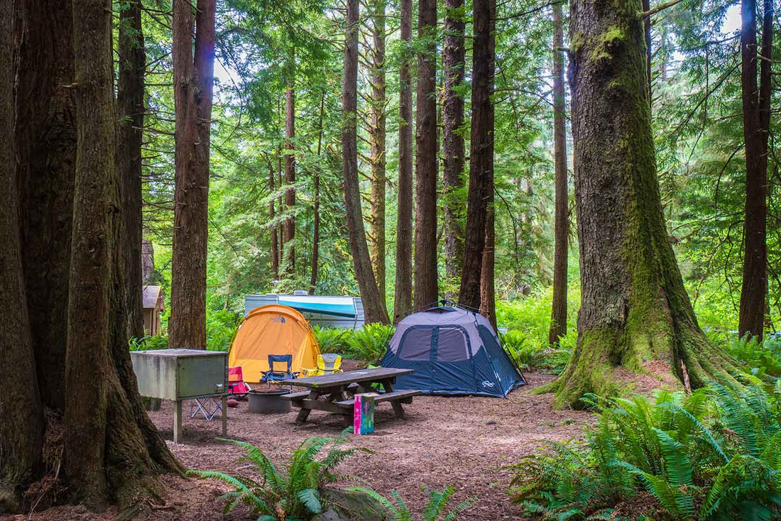 What are the best campgrounds in the world?