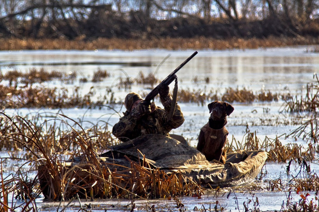 The most reliable sources for hunting