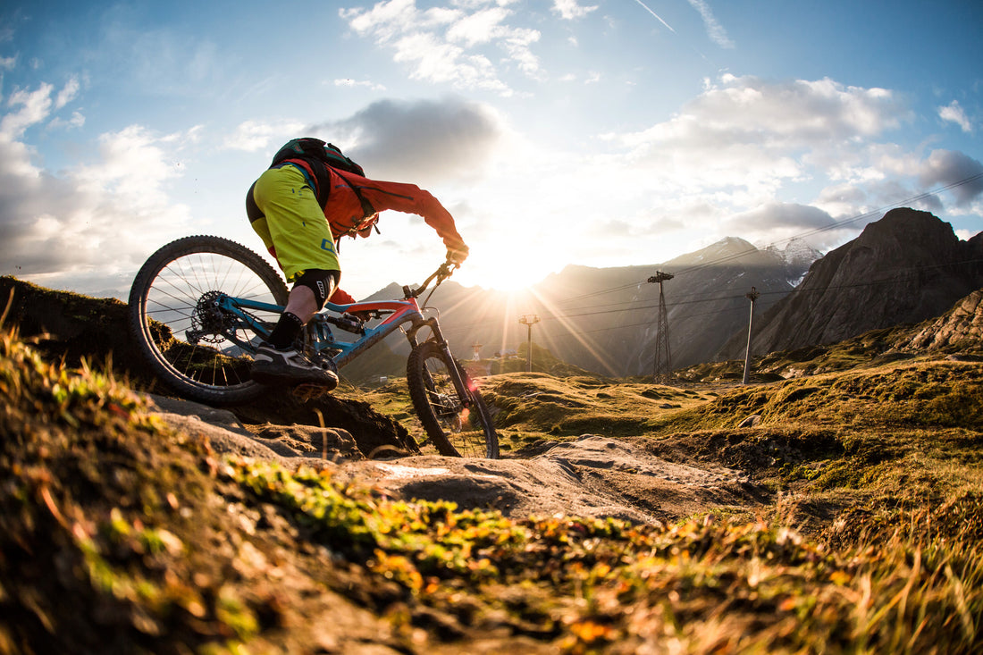 Types of mountain biking, such as cross-country, downhill, and freeride